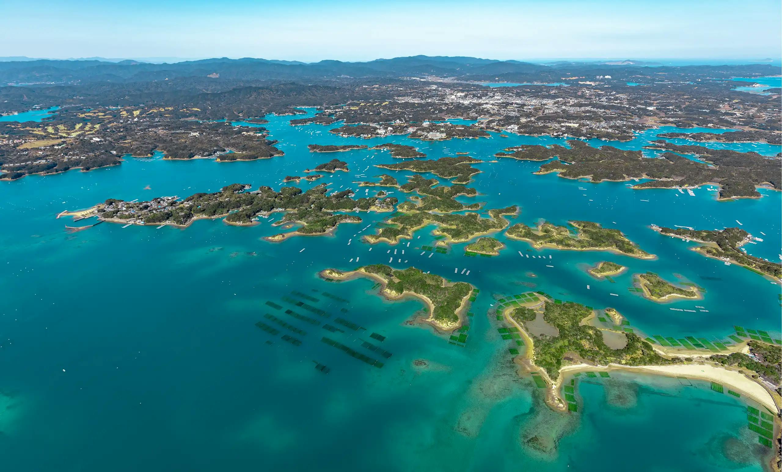 Gallery1 img2.webp?ixlib=rails 4.3