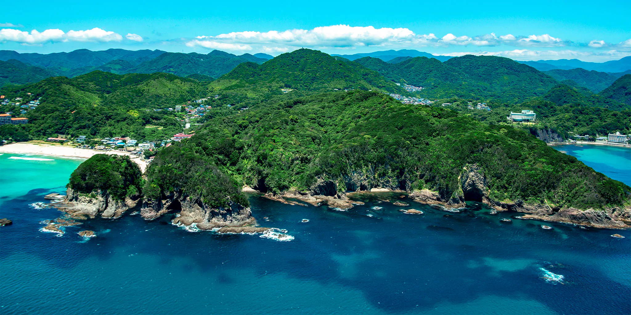 Aerial view of a forested headland near Tatadohama with sea caves at the cliff base and a bay beyond