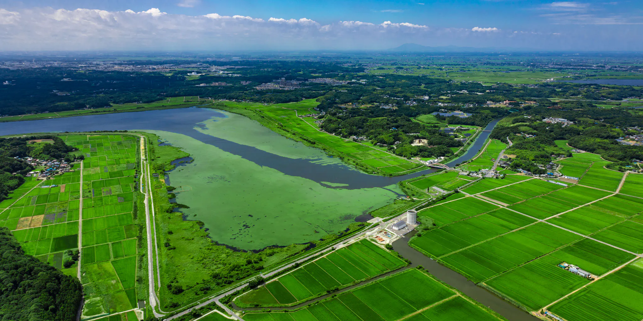 稲敷平野の水田に囲まれた緑色の湖沼・湿地帯を上空から見た写真。小さな排水機場の建物と、遠くにかすむ山影が見える。