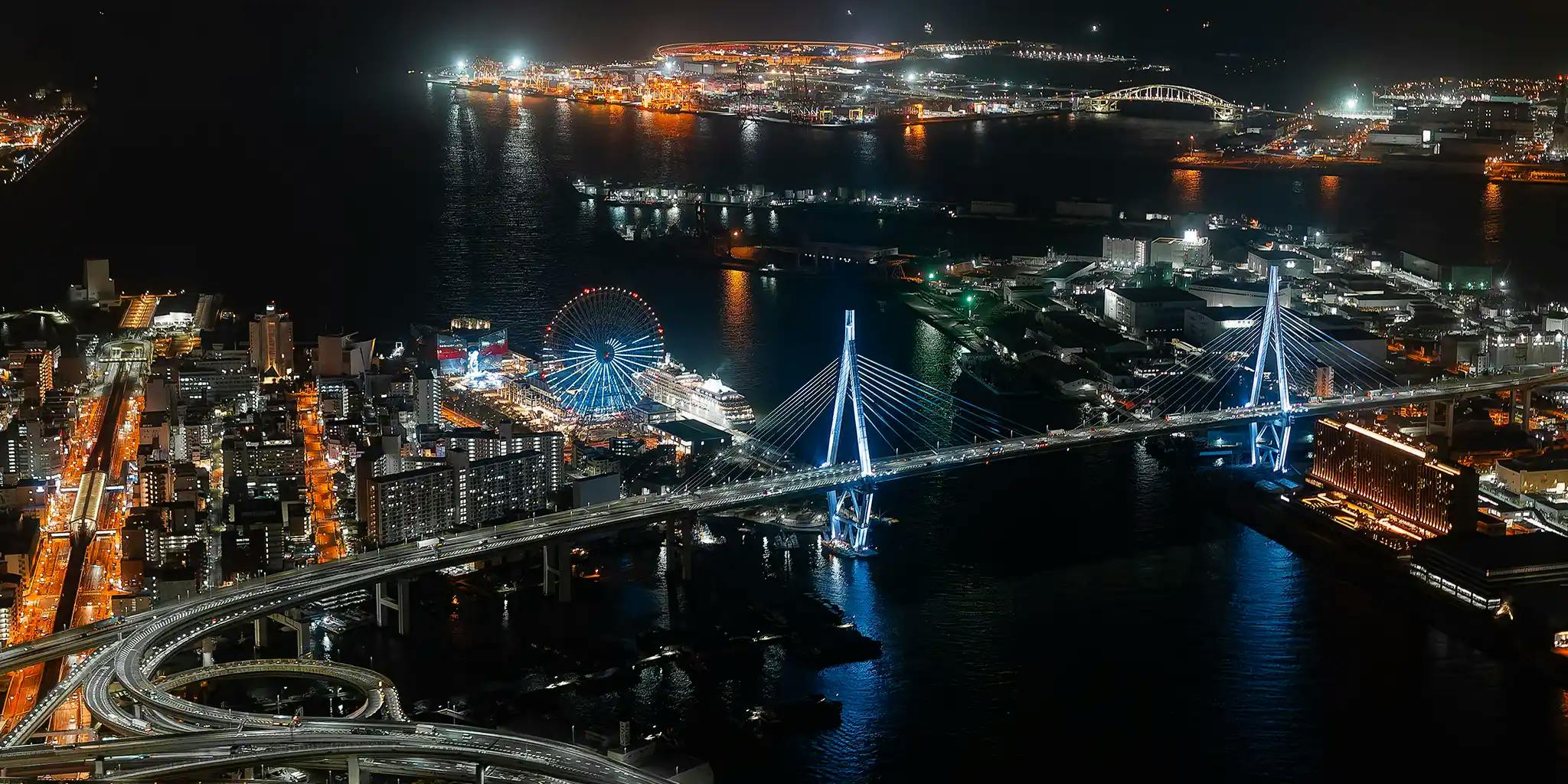 天保山大桥的夜景