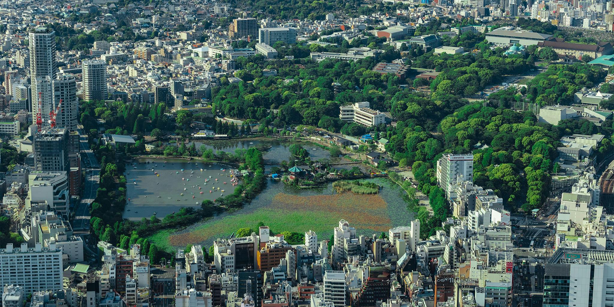 ヘリコプターで東京上空をフライトして見える上野