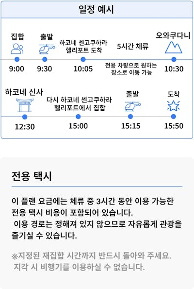 일정 예시