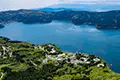 494_03.webp