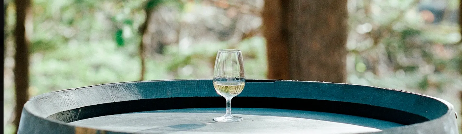 Ikawa Distillery Experience
