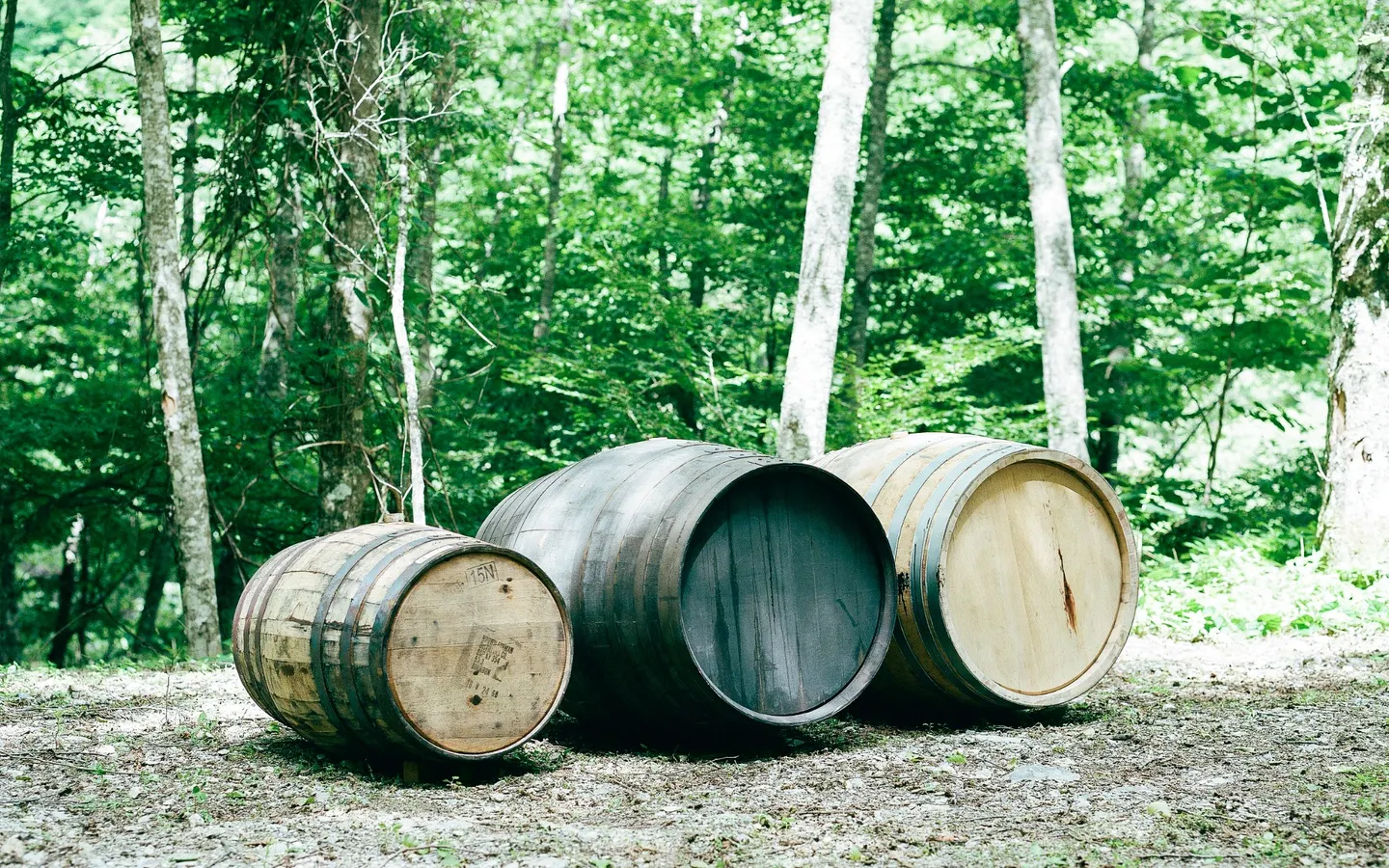 Ikawa Distillery Experience
